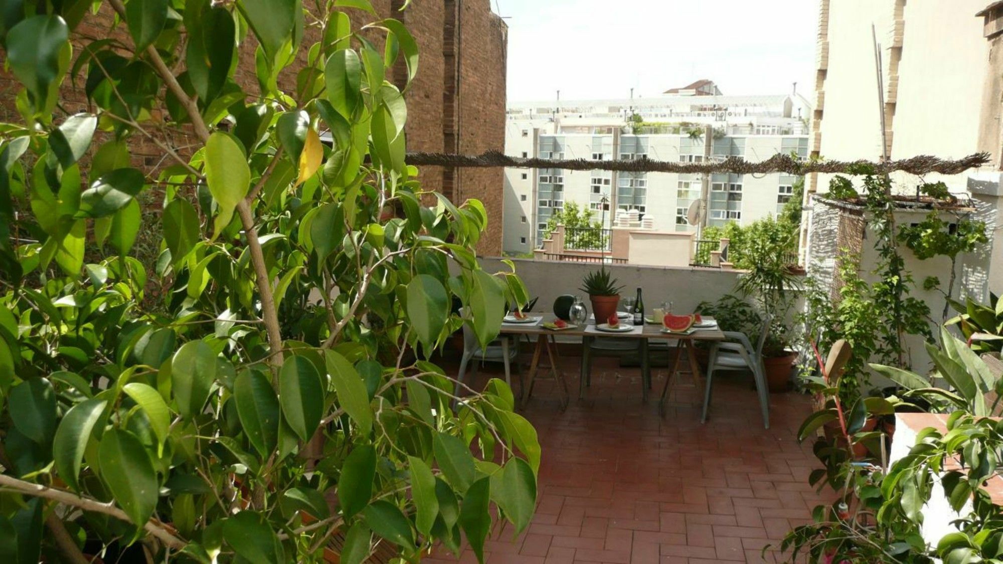 Watermelon - Penthouse Barcelone